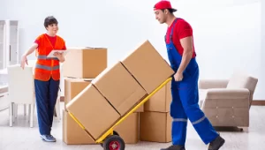 packers_movers_companies